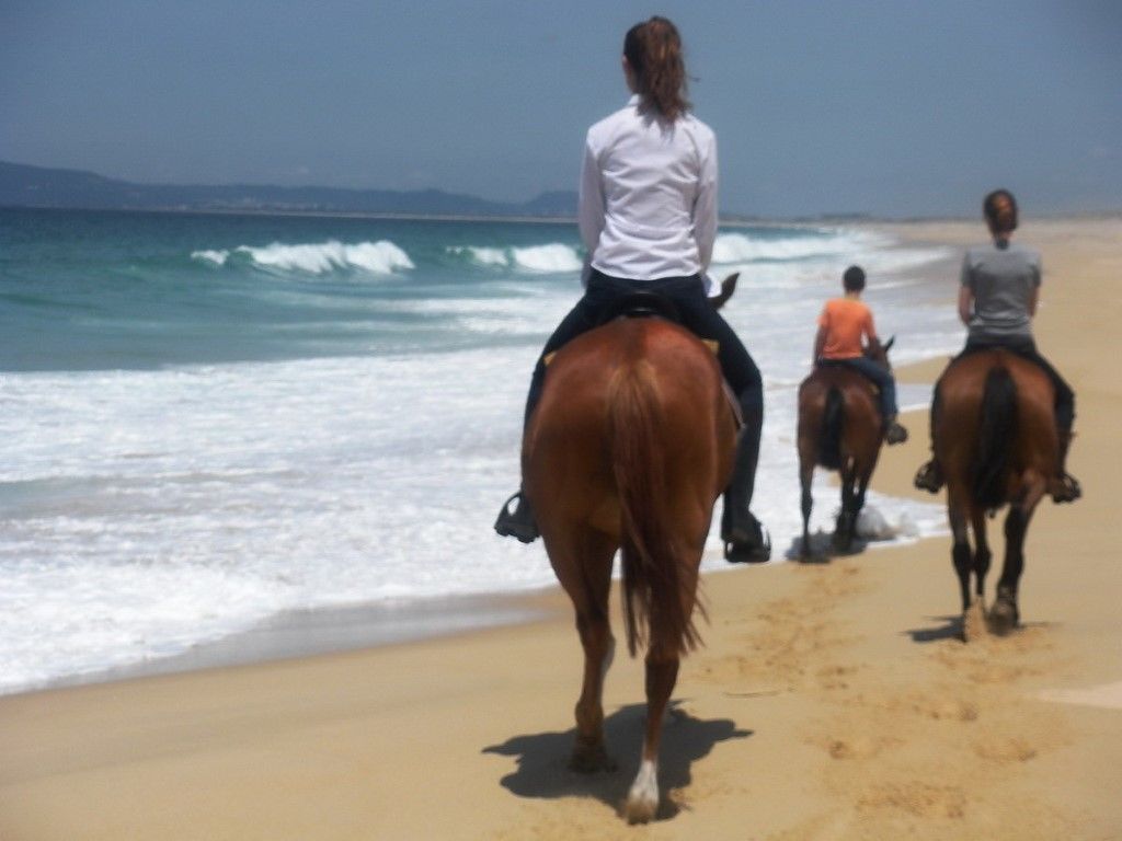 Troia Design Hotel Экстерьер фото Horse riding on the beach